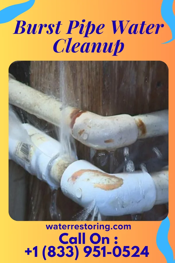 Burst Pipe Water Cleanup in De Soto, GA