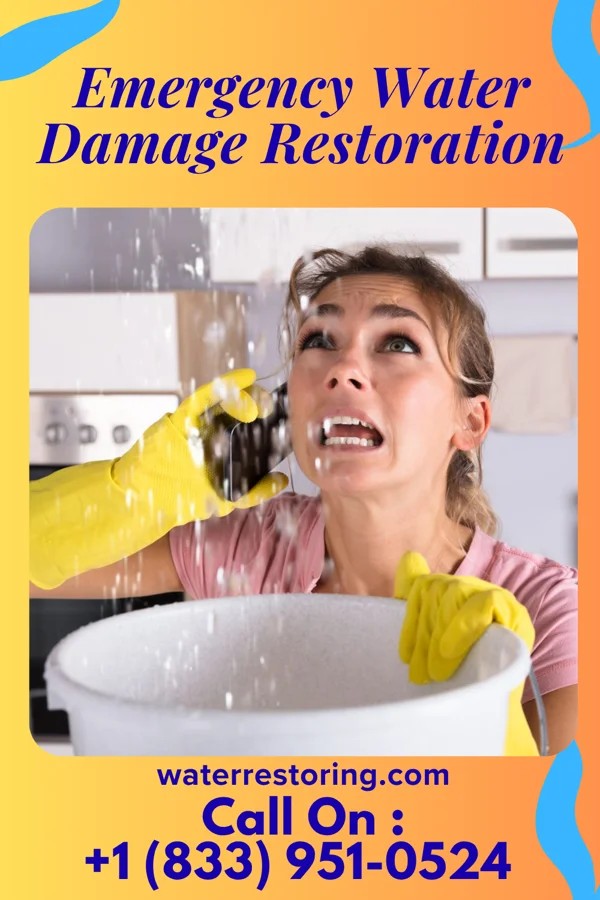 Emergency Water Damage Restoration in De Soto, GA