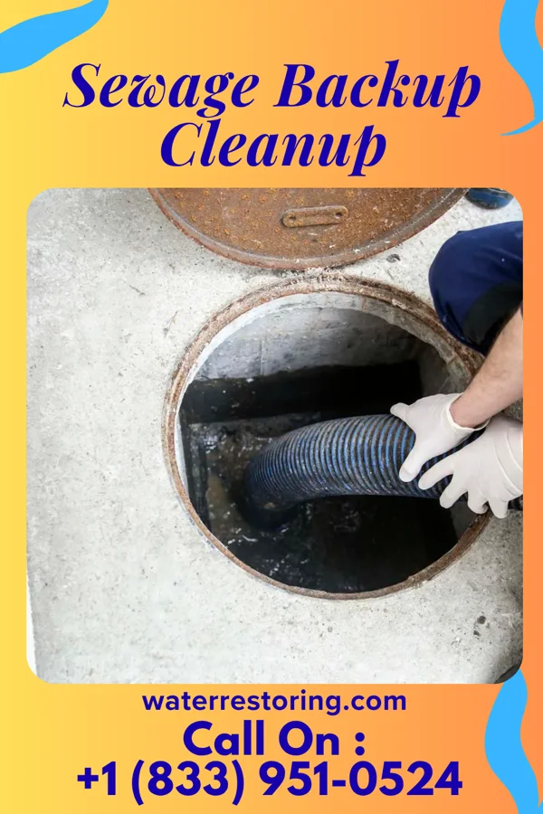 Sewage Backup Cleanup in De Soto, GA