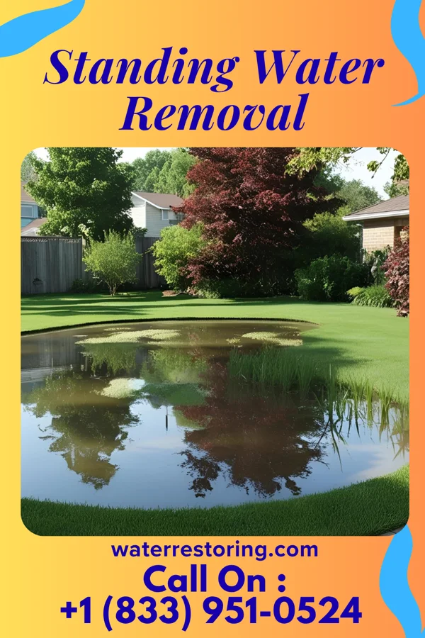 Standing Water Removal in De Soto, GA